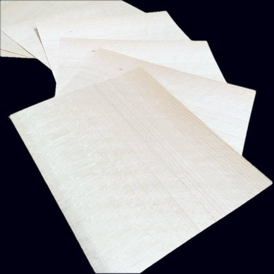 White Beech XXL width small-size veneer