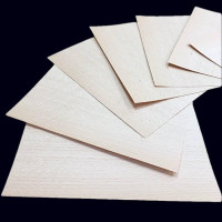 White Beech XXL width small-size veneer