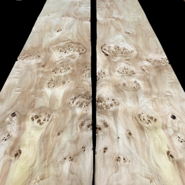 Mappa Burl Veneers 160 x 34 cm