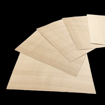 White Beech small-size veneer