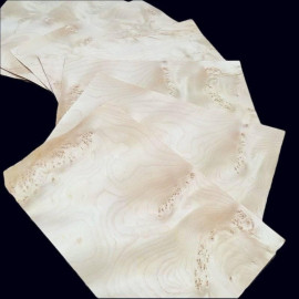 Ronce de Sycomore placage petit format