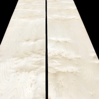 Ronce de Sycomore Placage 140 X 30 cm