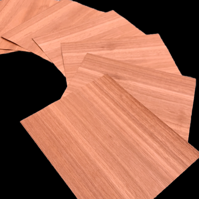 Eucalyptus XXL Small-size Veneers