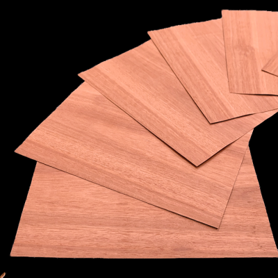 Eucalyptus XXL Placage Petit Format