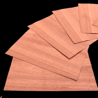 Eucalyptus XXL Placage Petit Format