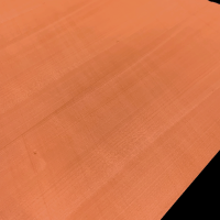 Carrot Orange Sycamore Dyed Veneers 40 x 18 cm