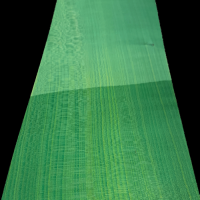French Mint Green Sycamore Dyed Veneers 50 x 16 cm