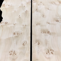 Pin-knotty Poplar Veneers 110 x 29 cm