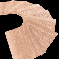 Planewood XXL Small-size Veneers
