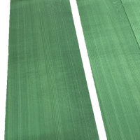 Shamlock Green Sycamore Dyed Veneers 50 x 16 cm