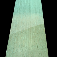 Lichen Green Lati Dyed Veneers 50 x 16 cm
