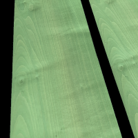 Asparagus Green Sycamore Dyed Veneers 50 x 21 cm