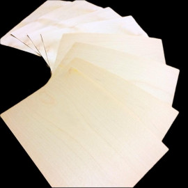 Sycamore Crown small size veneer